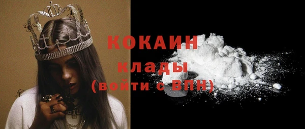 кокс Алексин