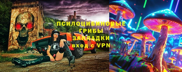 трава Гусь-Хрустальный