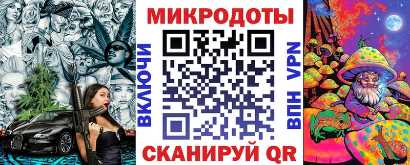 как найти   Салехард  Псилоцибиновые грибы Psilocybine cubensis 